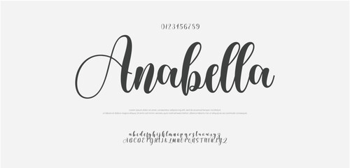 Signature Font Uppercase Lowercase and Number. Calligraphy Logotype Script Brush Font Type Font lettering handwritten. vector illustration 
