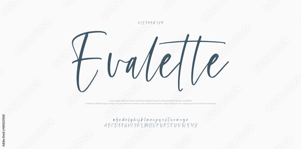 Fototapete signature font uppercase lowercase and number. calligraphy logotype script brush font type font lett