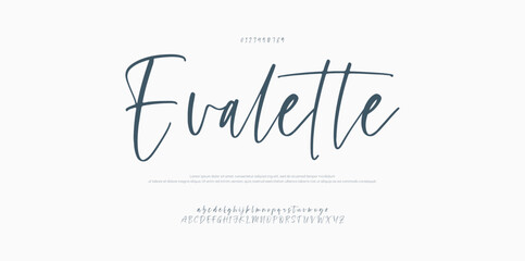 Signature Font Uppercase Lowercase and Number. Calligraphy Logotype Script Brush Font Type Font lettering handwritten. vector illustration 
