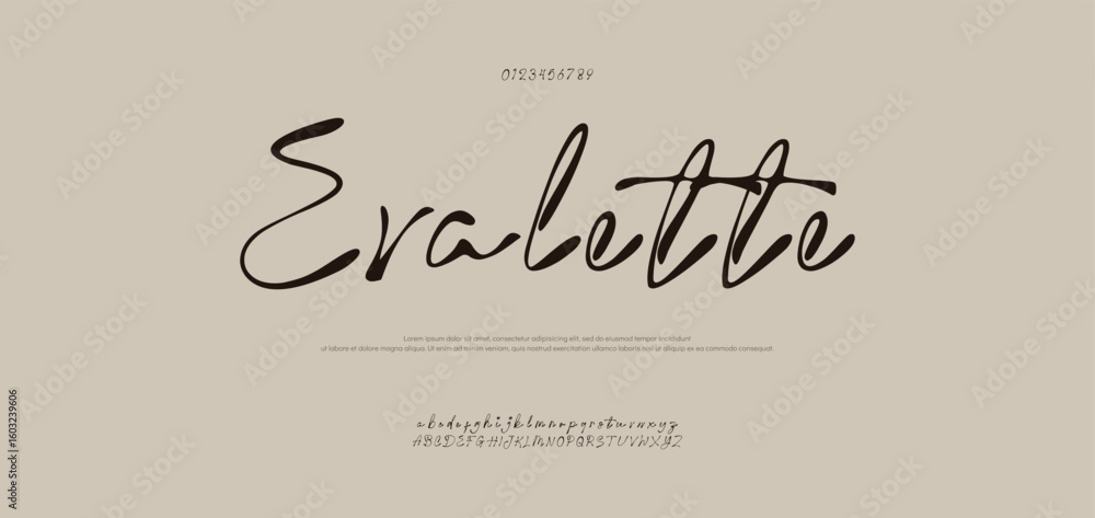 Poster signature font uppercase lowercase and number. calligraphy logotype script brush font type font lett
