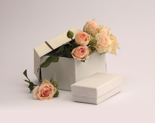 Craft gift boxes with beige cream rose flower bouquet on gray neutral background. Minimal empty...