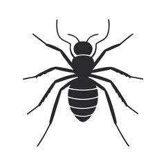 Detailed Ant Vector Illustration with Transparent Backdrop for Insect Studies and Educational Resources, Ideal for Biology Projects and Design Elements