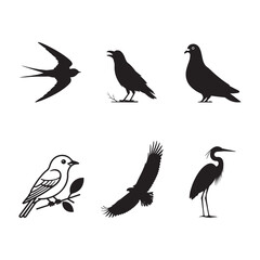Diverse Bird Species Silhouettes on White Background Avian Wildlife Art Collection and Ornithology S.eps