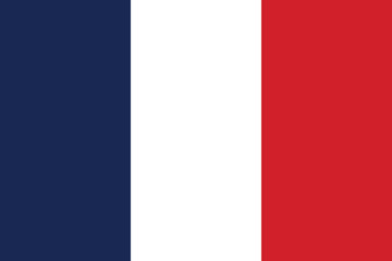 A classic french flag design featuring tricolor stripes and a clean vector illustration style