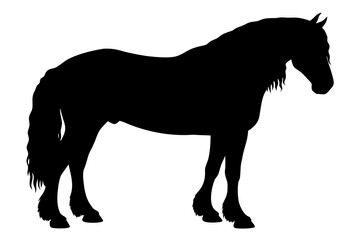 Black silhouette of a Friesian horse standing animal