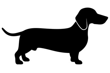 Brown Dachshund Dog Silhouette animal