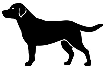 Golden Retriever Dog Silhouette animal