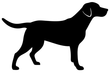 Golden Retriever Dog Silhouette animal 3