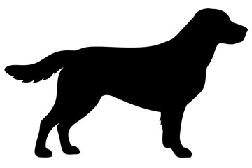 Golden Retriever Dog Silhouette animal 2