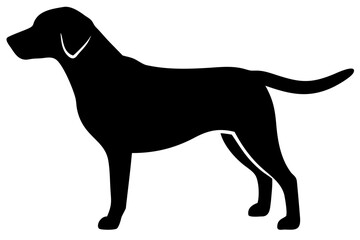 Golden Retriever Dog Silhouette animal 6