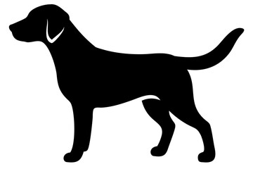 Golden Retriever Dog Silhouette animal 7