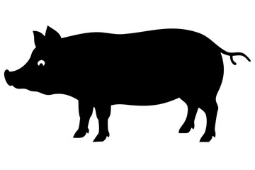 Kunekune pig silhouette on white background animal