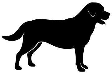 Long Haired Rottweiler Dog Silhouette animal