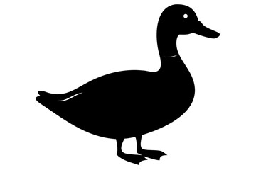 Rouen duck silhouette on white background bird animal