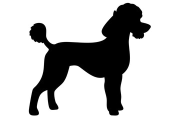 Short Haired Poodle Dog Silhouette animal canine