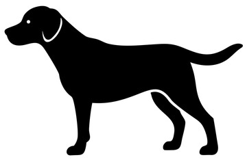 Short haired labrador silhouette on white background