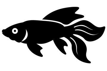 Siamese Fighting Fish Silhouette betta fish aquatic animal