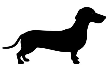 Silhouette of a Giant Dachshund Dog animal