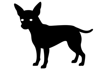 White Chihuahua Dog Silhouette animal