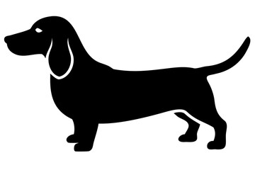 White Dachshund Dog Silhouette animal