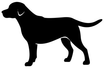 White Labrador Retriever Silhouette animal