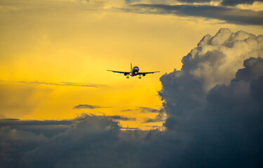 plane in the sky
