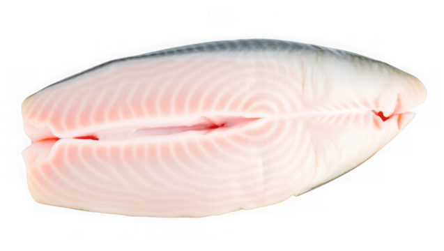 Raw salmon fillet split lengthwise showing pink flesh and white fat lines isolated on a transparent background for healthy eating