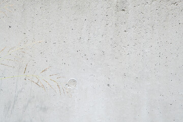 Modern grey limestone texture background and a plant