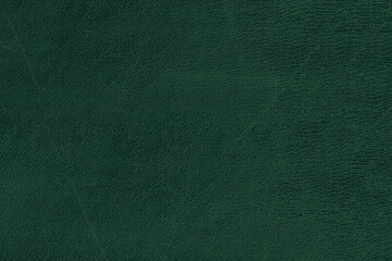 Beautiful green background with leather texture