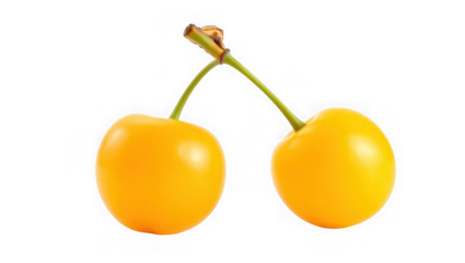 Two bright yellow cherries with green stems connected and isolated on a clean transparent background symbolizing freshness