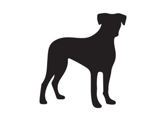 boxer dog in sillhouette on white