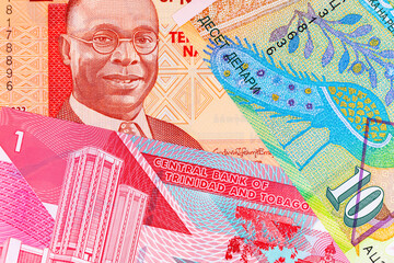 Polymer money from different countries of the world.