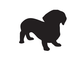 Dachshund dog in silhouette on white background