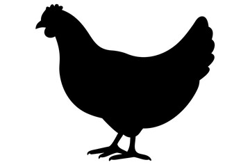 Orpington Chicken Silhouette poultry bird