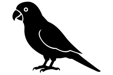 Fototapeta premium Parakeet Bird Silhouette animal