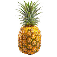 Close-up of a whole pineapple (1)