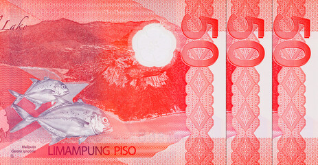 50 Piso Philippines, New Polymer Note 2025 with the image of Taal Lake and giant trevally fish. Money of the Philippines
