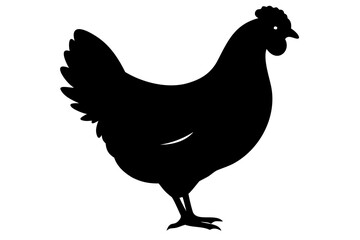 Sussex Chicken Silhouette fowl poultry