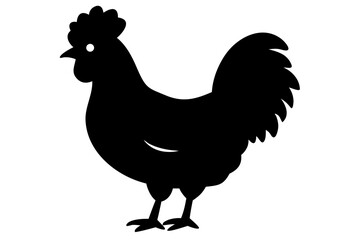 Silkie Chicken Silhouette on White Background poultry