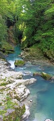 Kanion rzeki ze skałami pokrytymi zielenią © Joanna G.