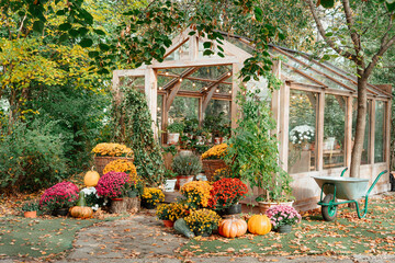 Charming wooden greenhouse surrounded by vibrant chrysanthemums, pumpkins, and lush greenery on an...