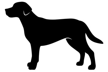 Golden Retriever Dog Silhouette animal 2