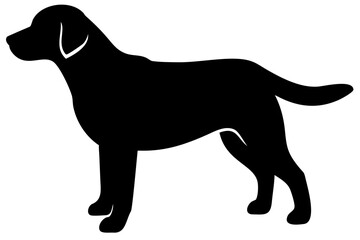Golden Retriever Dog Silhouette animal