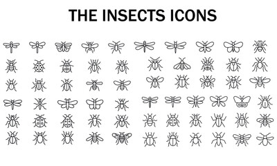 set of insect icons collection of bugs flies bees and butterflies in line art style
