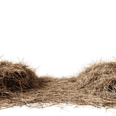 Fototapeta premium A close-up view of a nest or pile of dried straw
