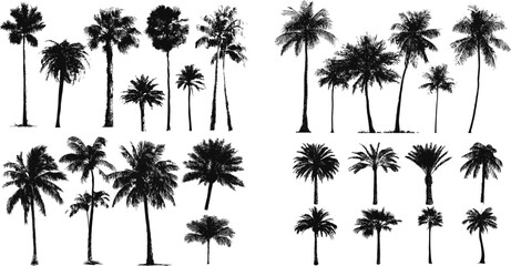 Palm Tree Silhouette Vector Set Tropical Tree Collection in Black Silhouettes