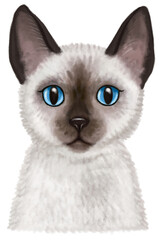 Cute Blue-Eyed Siamese Cat Portrait in Hand-Drawn Style. Transparent background .