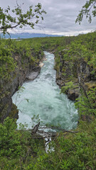 A wild green river between rocks surrounded by green trees