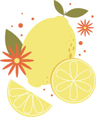 Lemon hand drawn set. Whole and sliced fruit. Vector illustration in doodle style