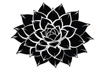 Black Silhouette of Succulent Plant with Pointed Leaves in a Symmetrical Pattern